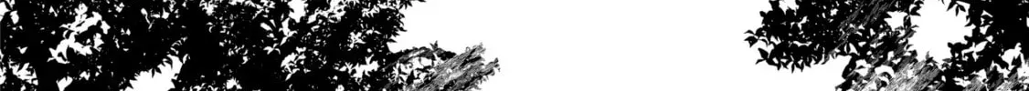 The Invincible Summoner Who Crawled up From Level 1 Chapter 3.2 page 64 - 