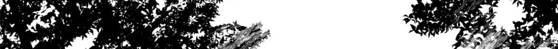 The Invincible Summoner Who Crawled up From Level 1 Chapter 3 page 64 - 