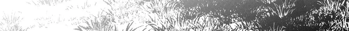 The Invincible Summoner Who Crawled up From Level 1 Chapter 4.1 page 26 - 
