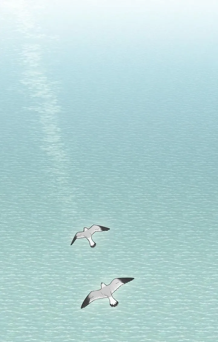 The Island