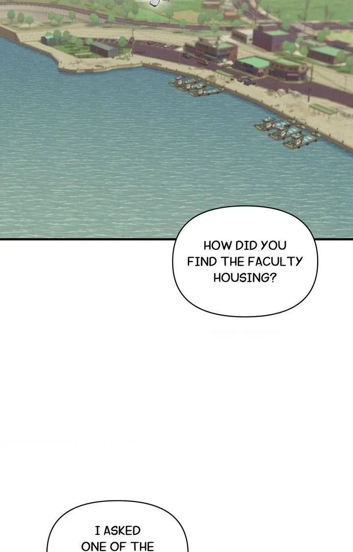 The Island