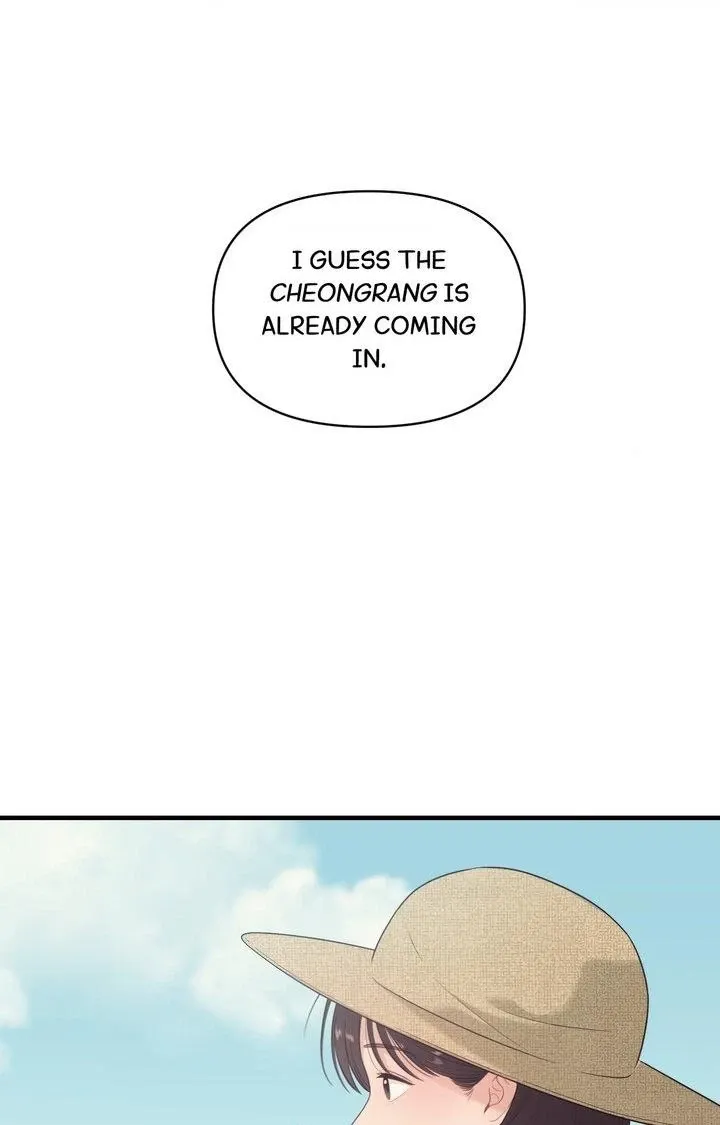 The Island