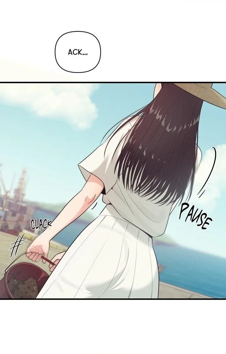 The Island