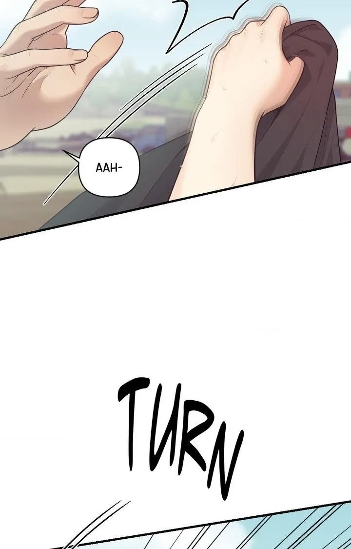 The Island