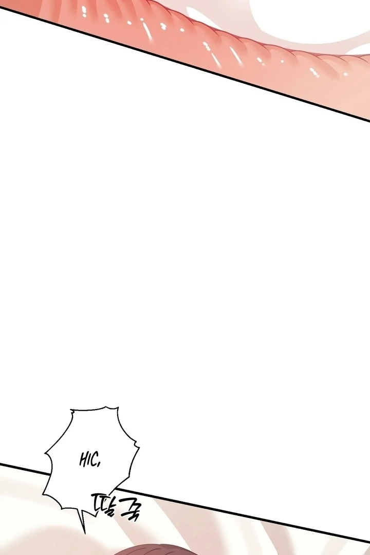 The Island