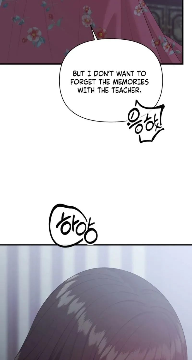 The Island