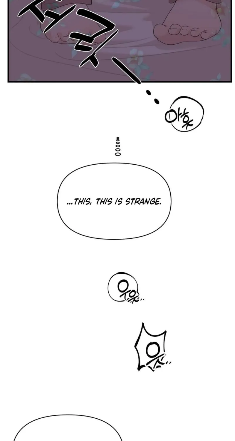 The Island