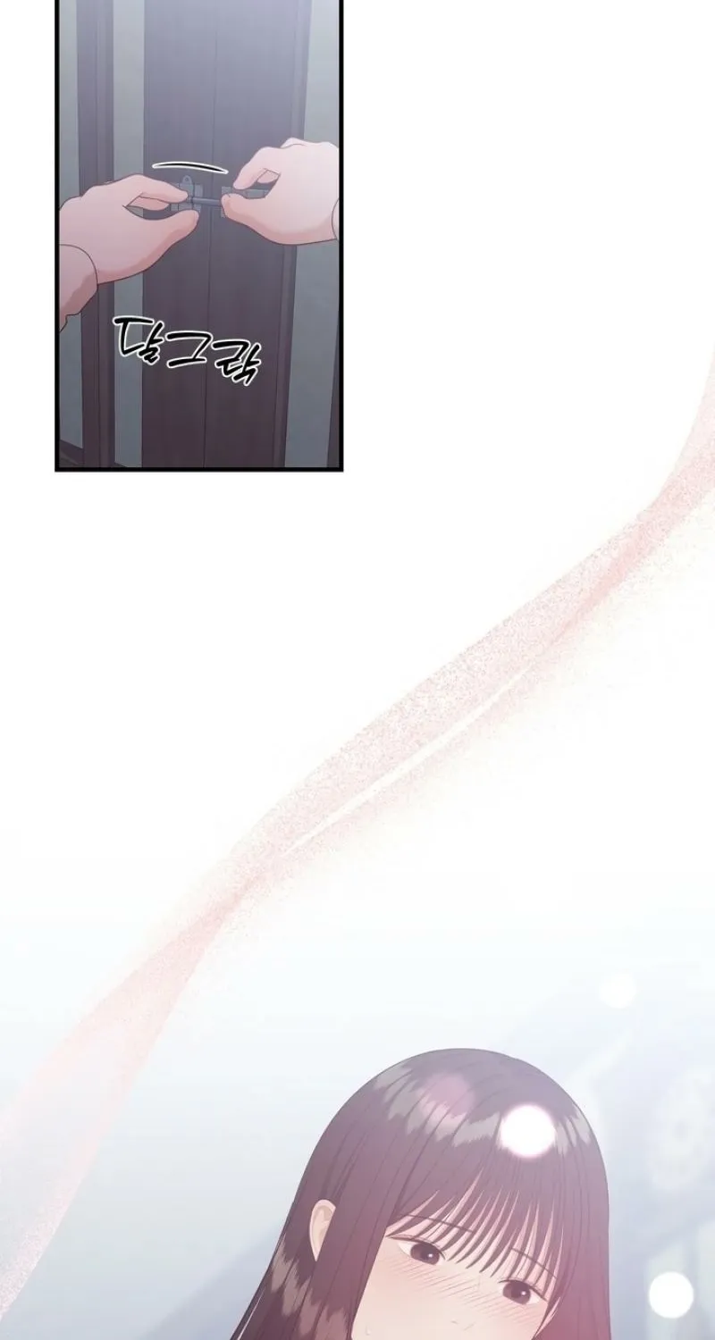 The Island