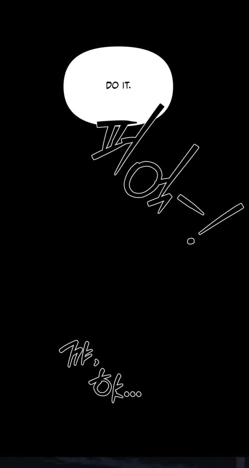 The Island