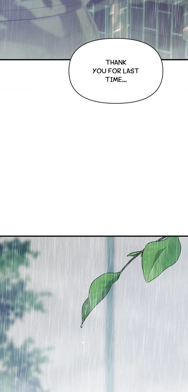 The Island
