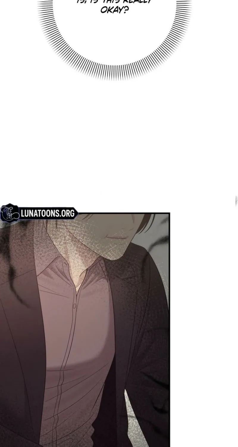 The Island