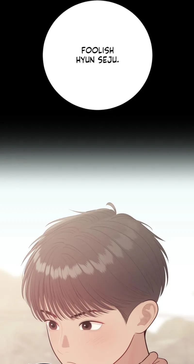 The Island