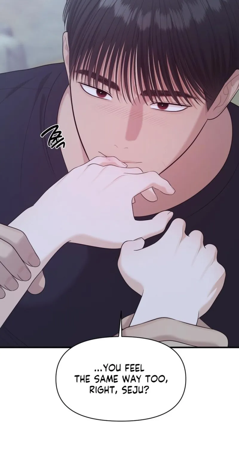 The Island