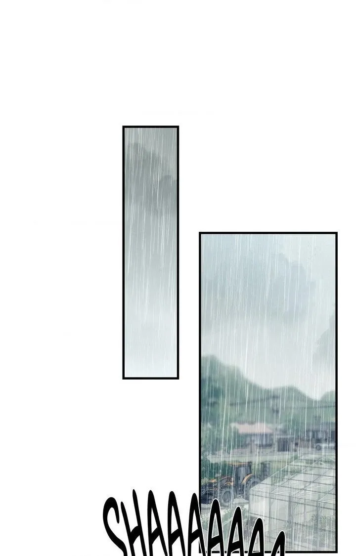 The Island