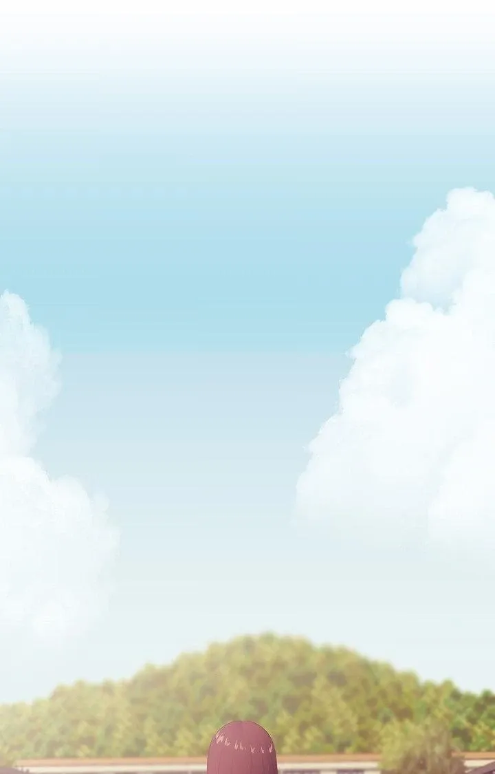 The Island