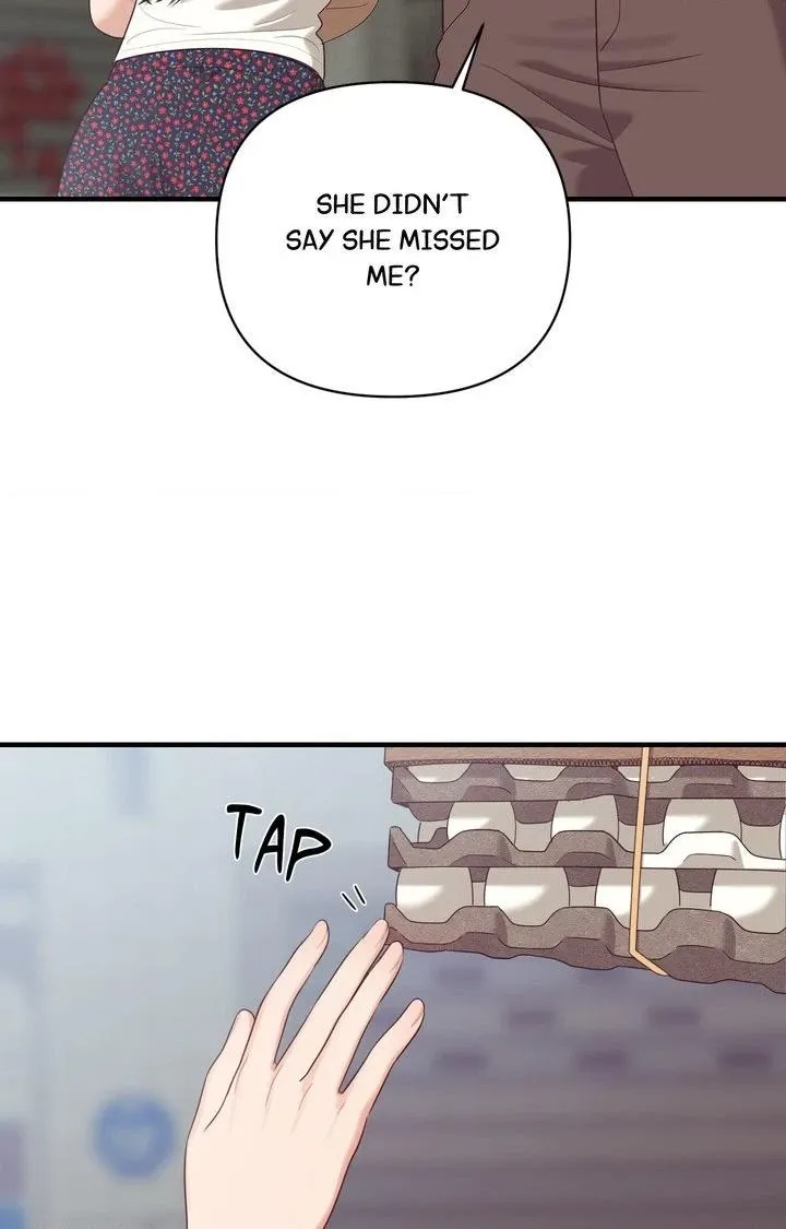 The Island