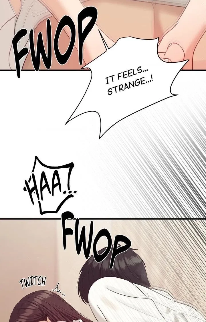 The Island