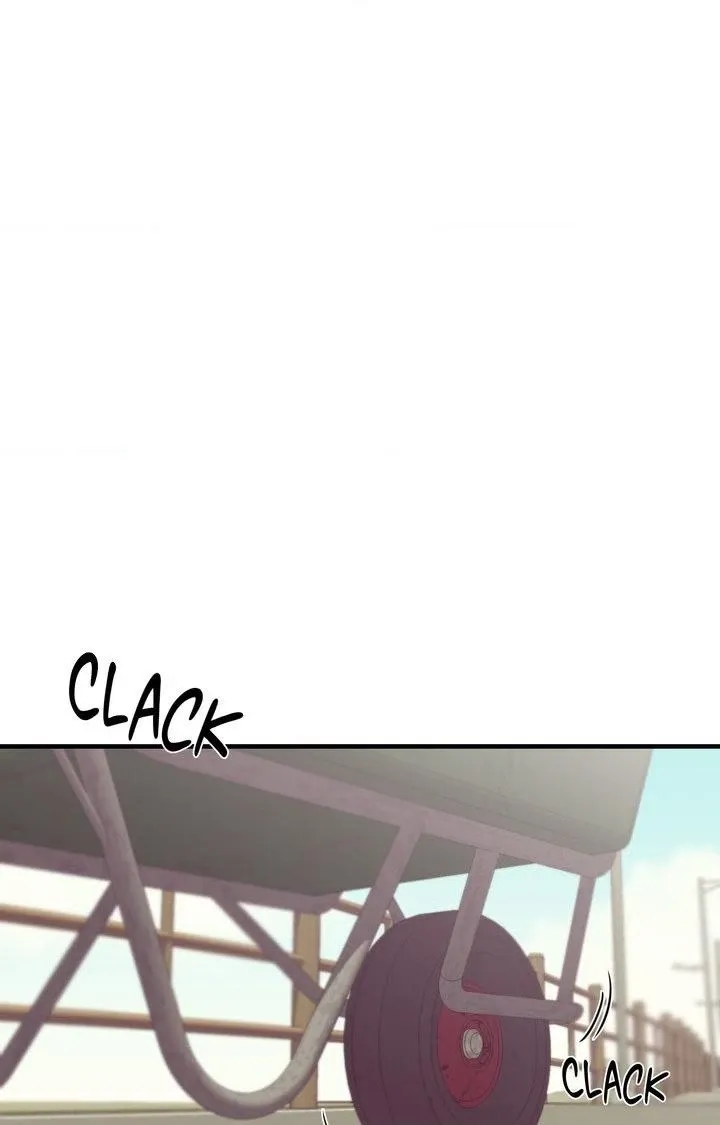 The Island