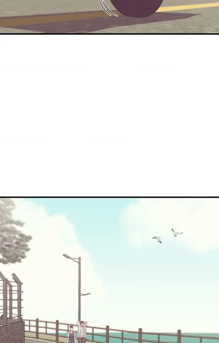 The Island