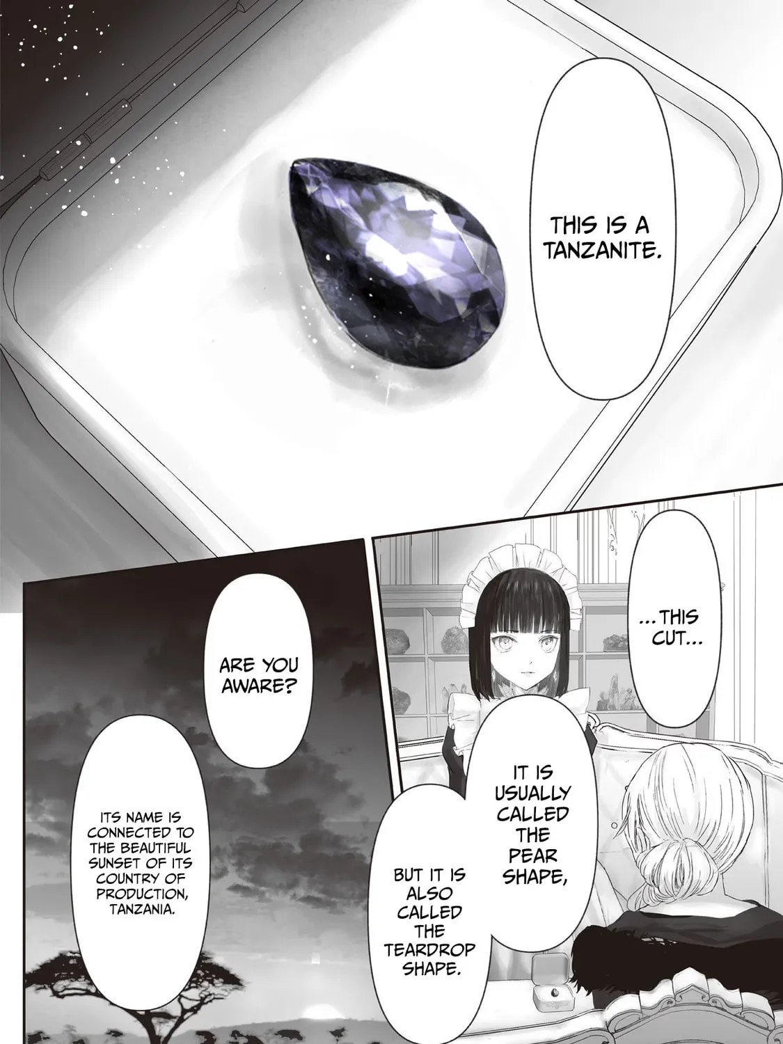 The Jeweler