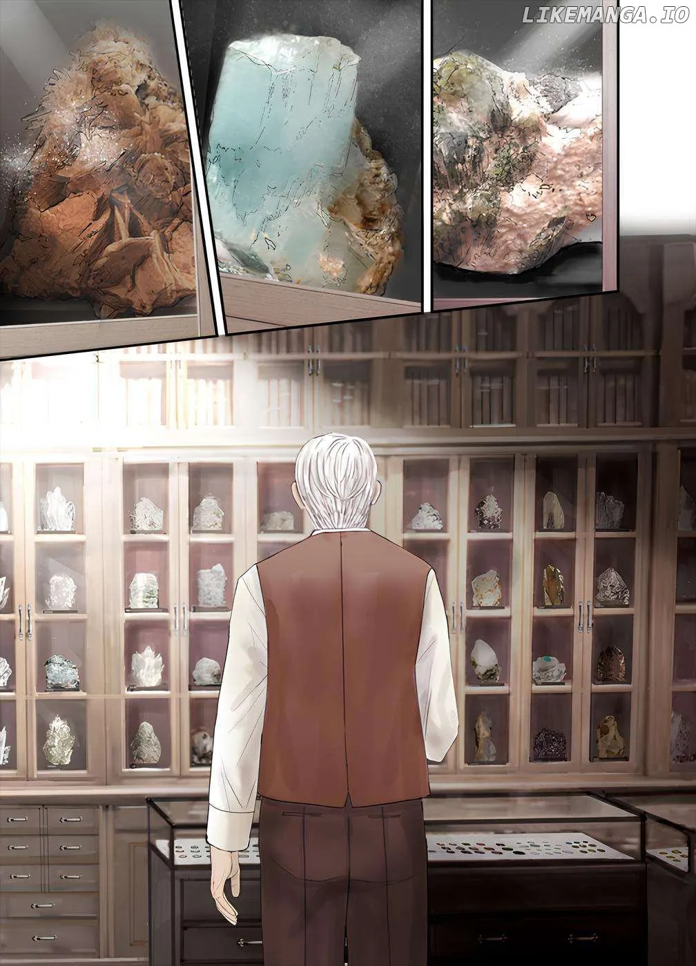 The Jeweller
