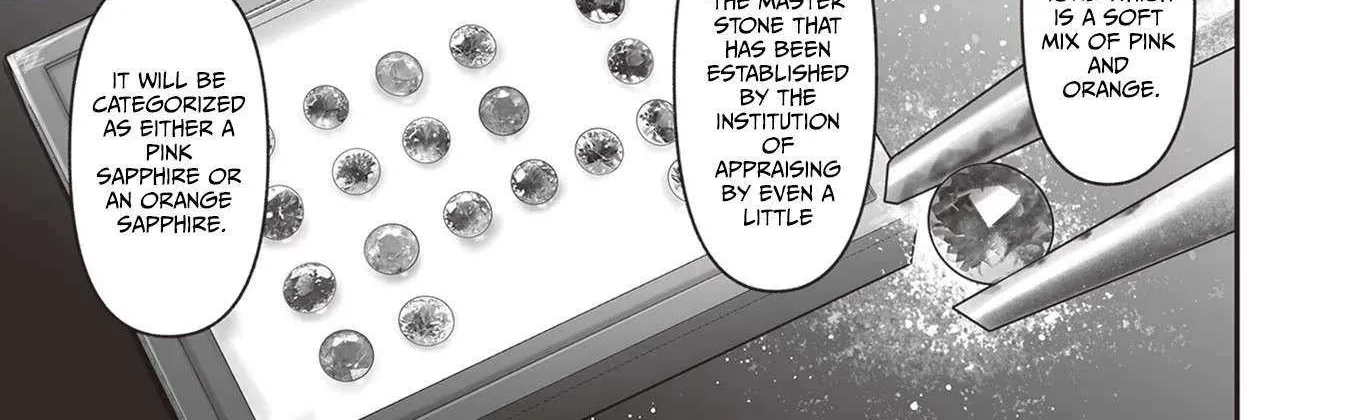 The Jeweller