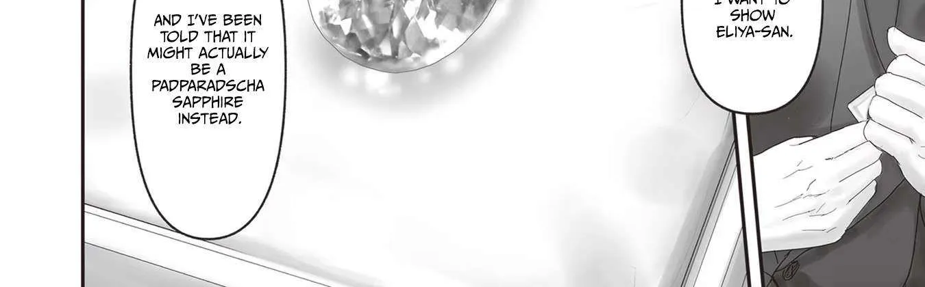 The Jeweller