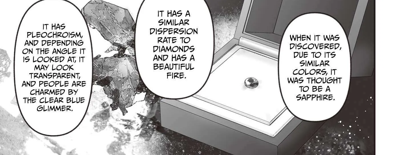 The Jeweller