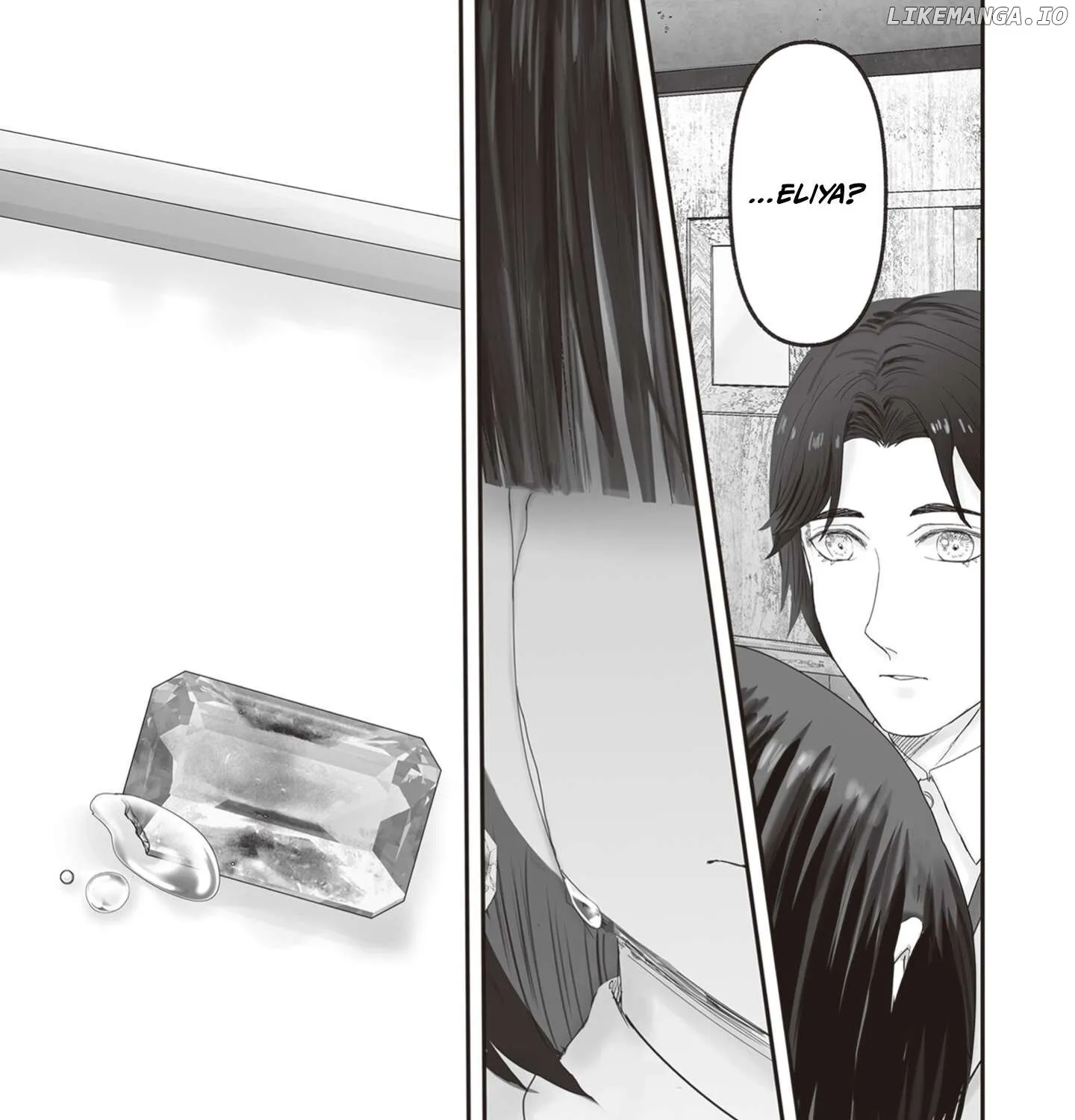 The Jeweller
