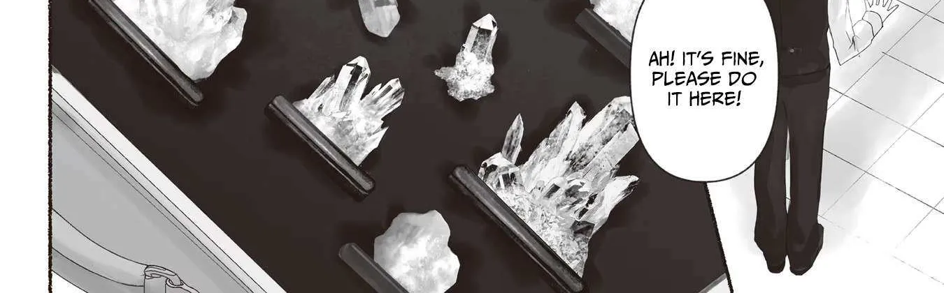 The Jeweller