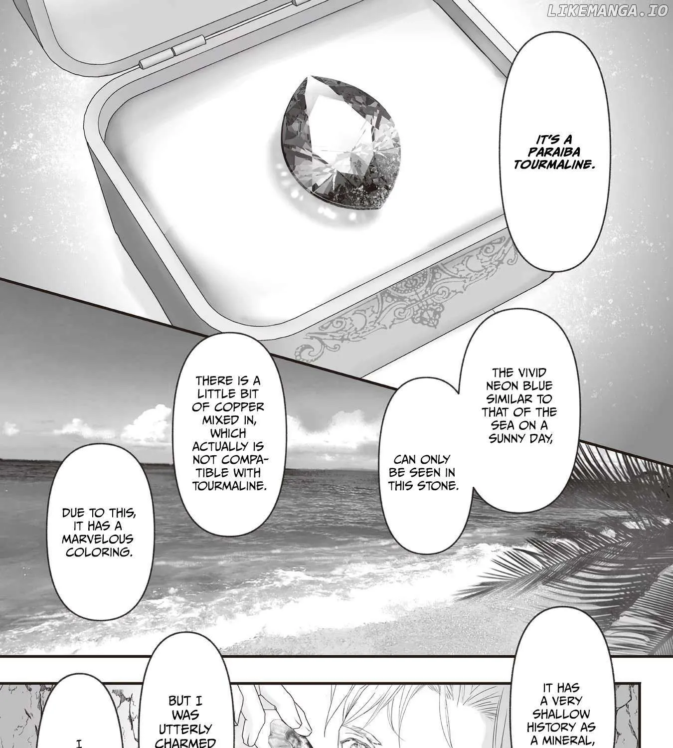 The Jeweller