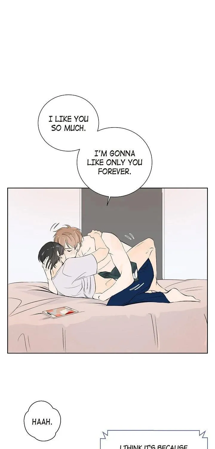 The Keystone Romantic Combination Chapter 1 page 13 - 