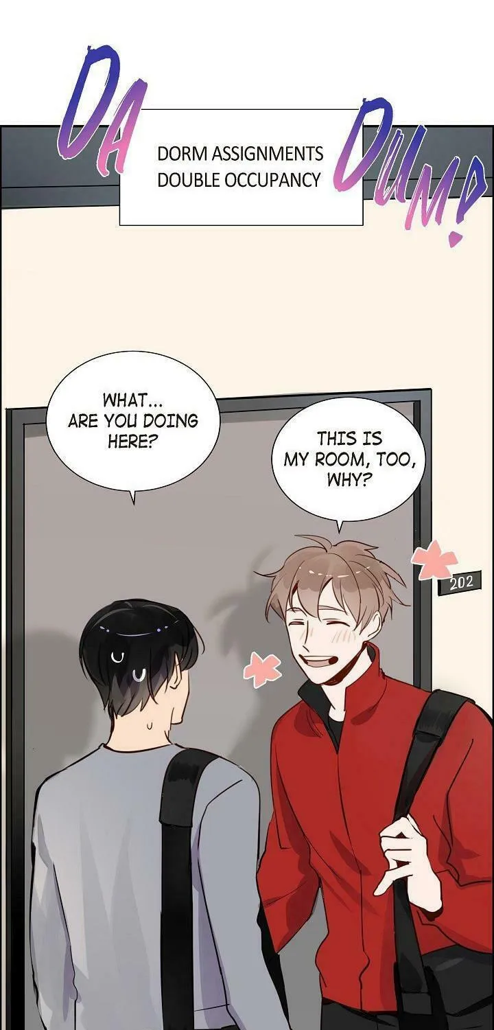 The Keystone Romantic Combination Chapter 11 page 52 - 