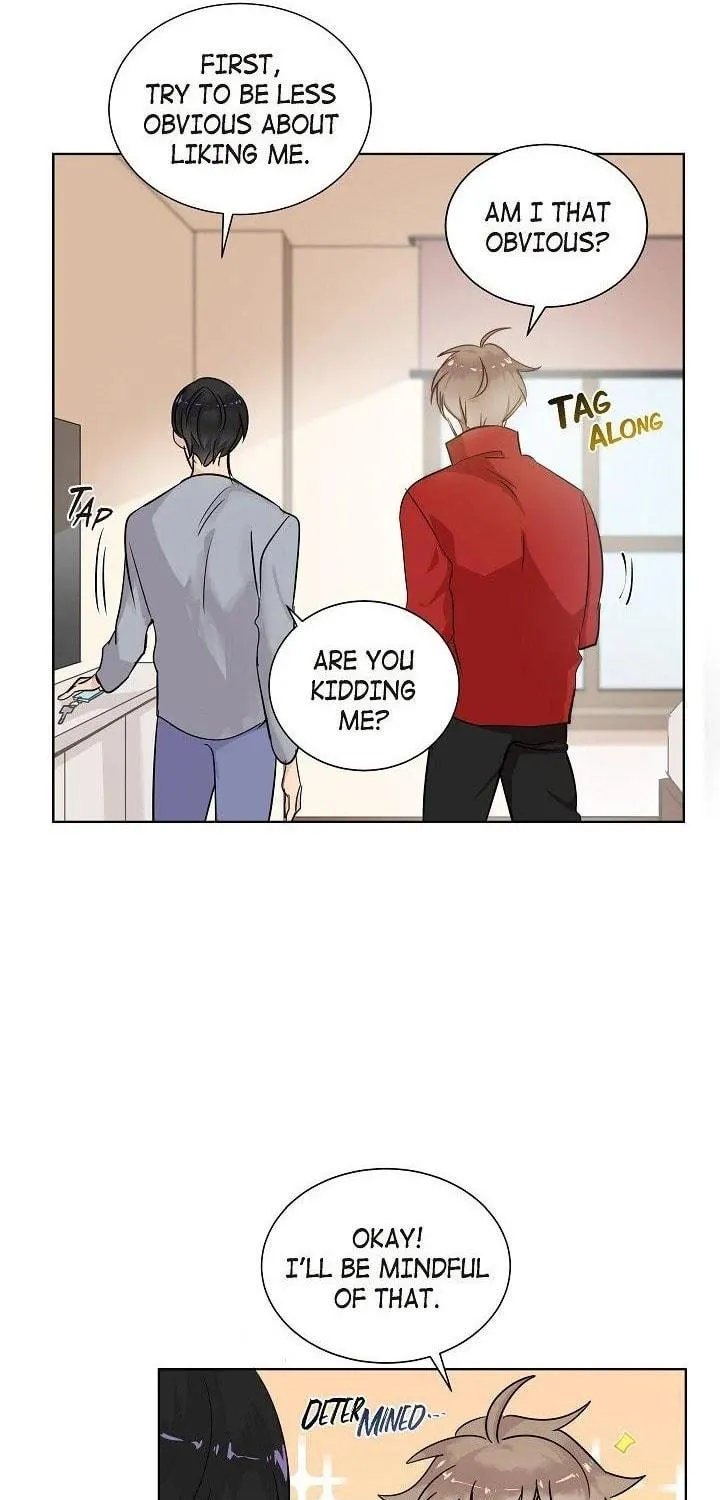 The Keystone Romantic Combination Chapter 12 page 39 - 