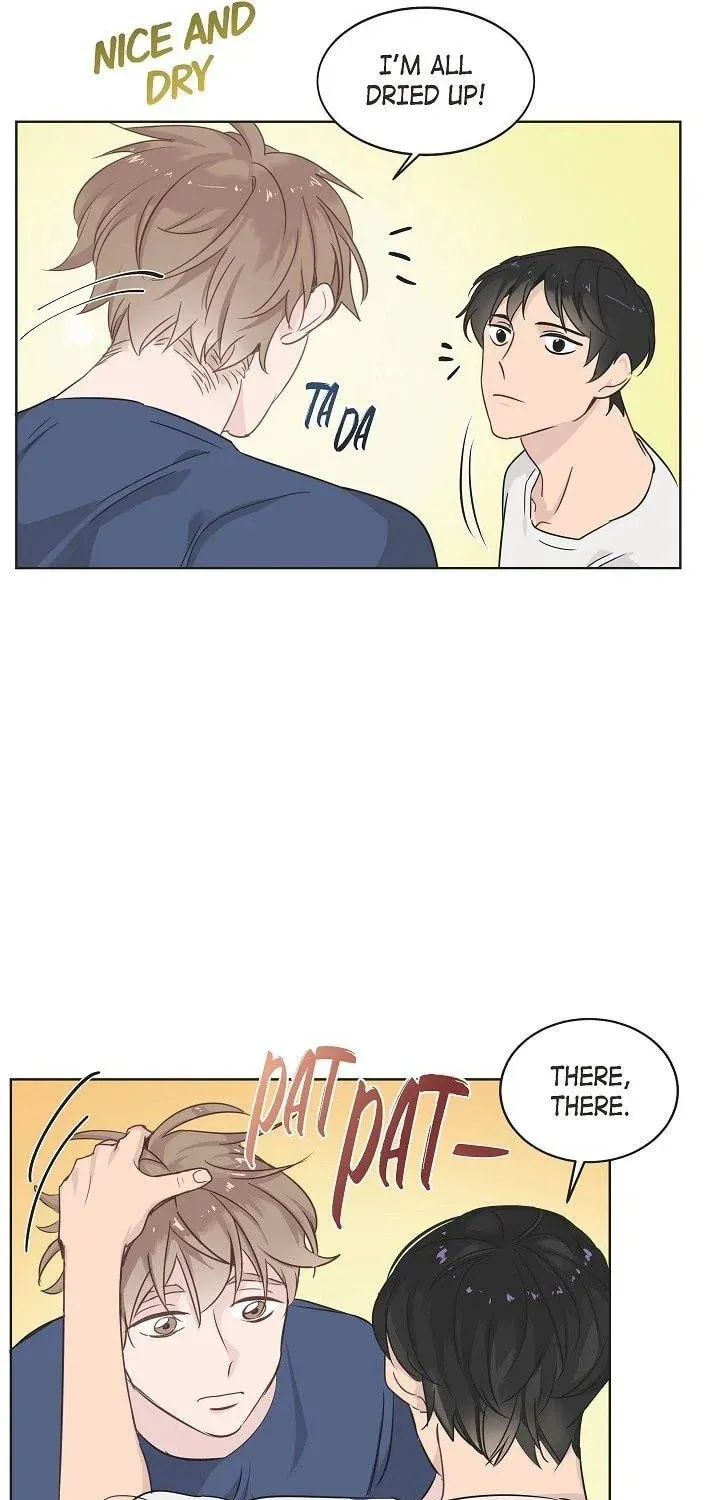 The Keystone Romantic Combination Chapter 13 page 37 - 