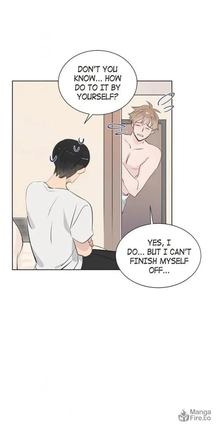 The Keystone Romantic Combination Chapter 14 page 12 - 