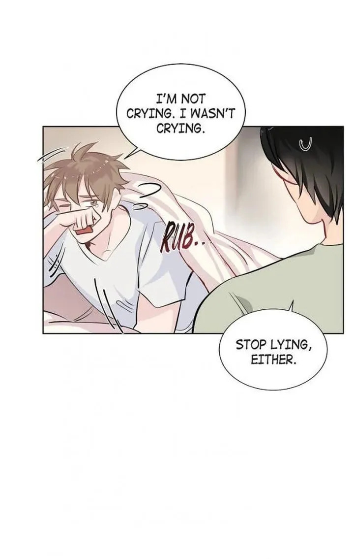 The Keystone Romantic Combination Chapter 15 page 8 - 