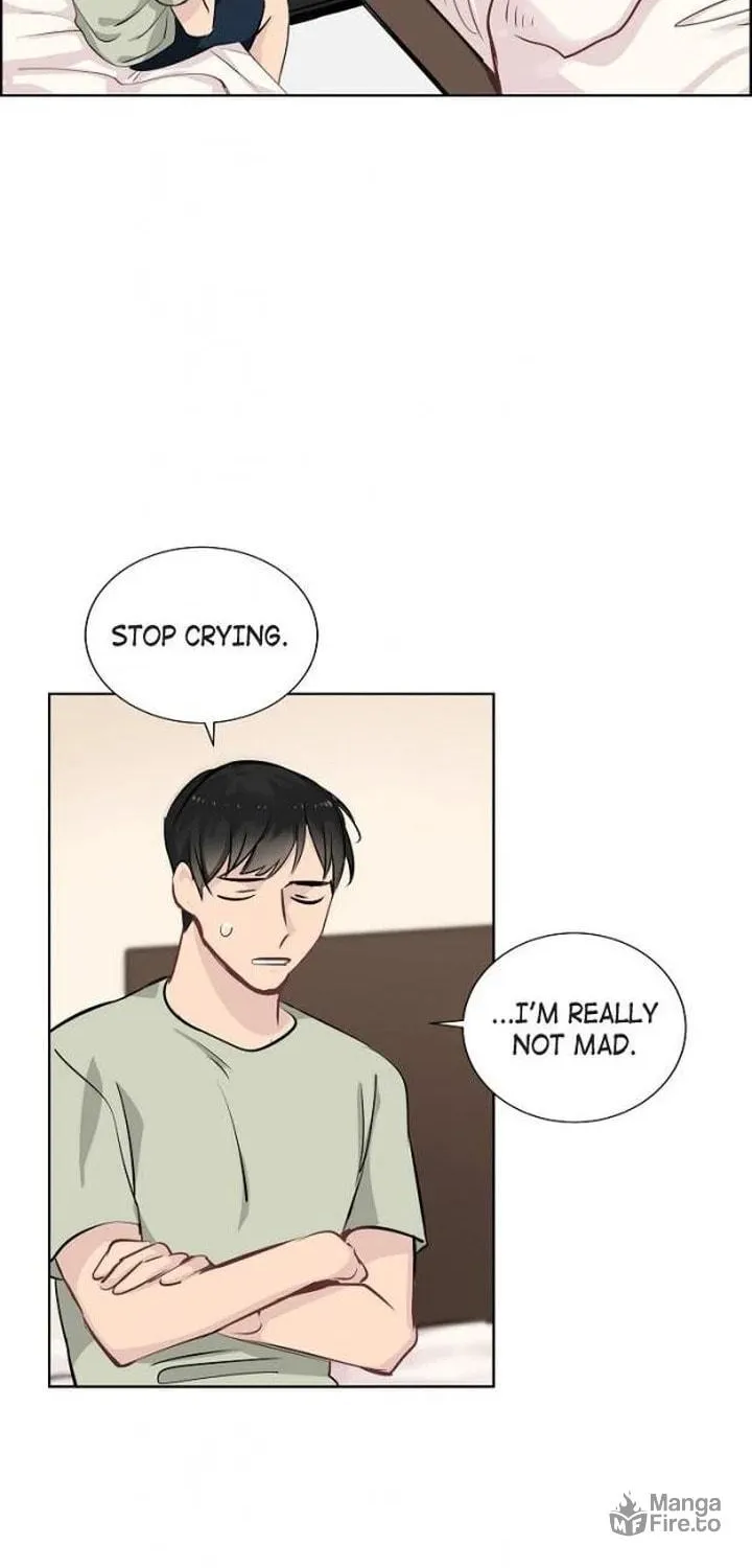 The Keystone Romantic Combination Chapter 15 page 10 - 