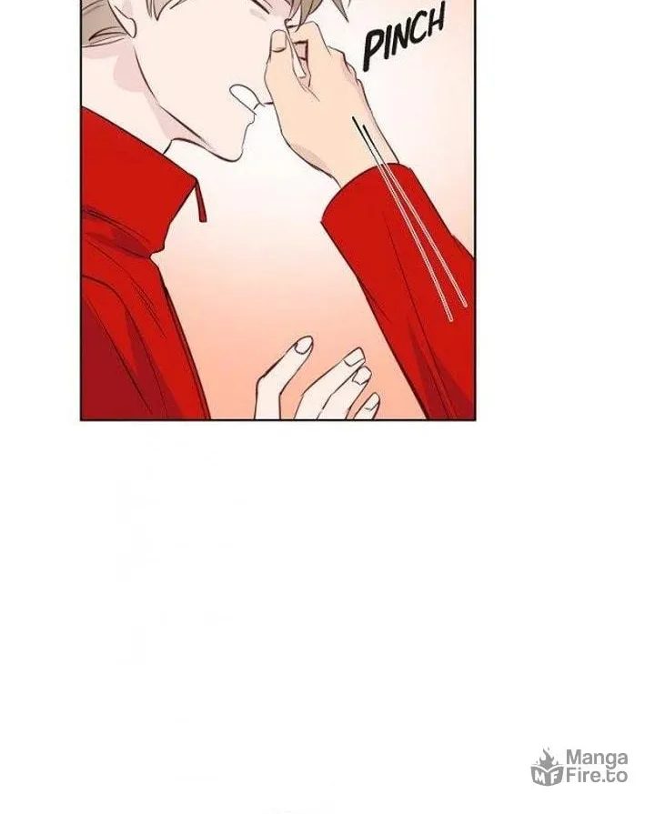The Keystone Romantic Combination Chapter 16 page 30 - 