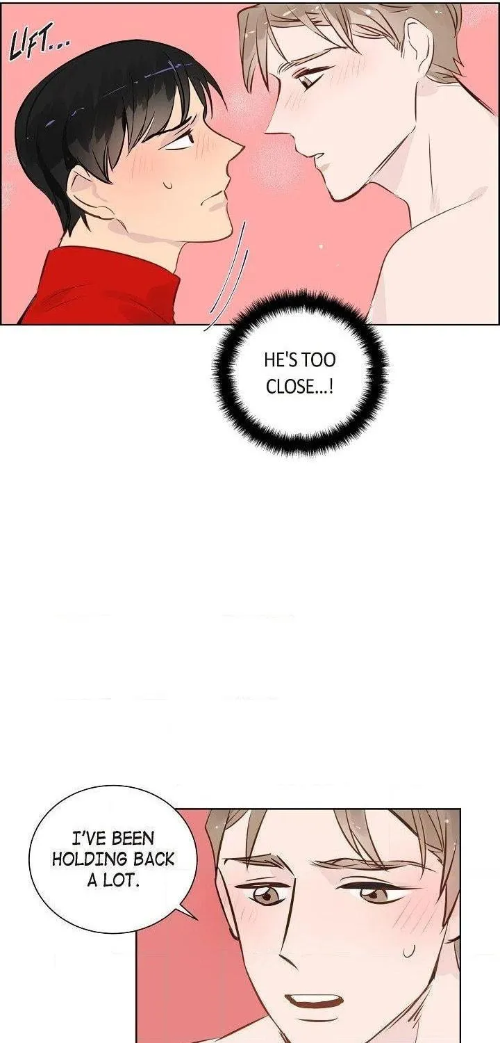 The Keystone Romantic Combination Chapter 19 page 35 - 