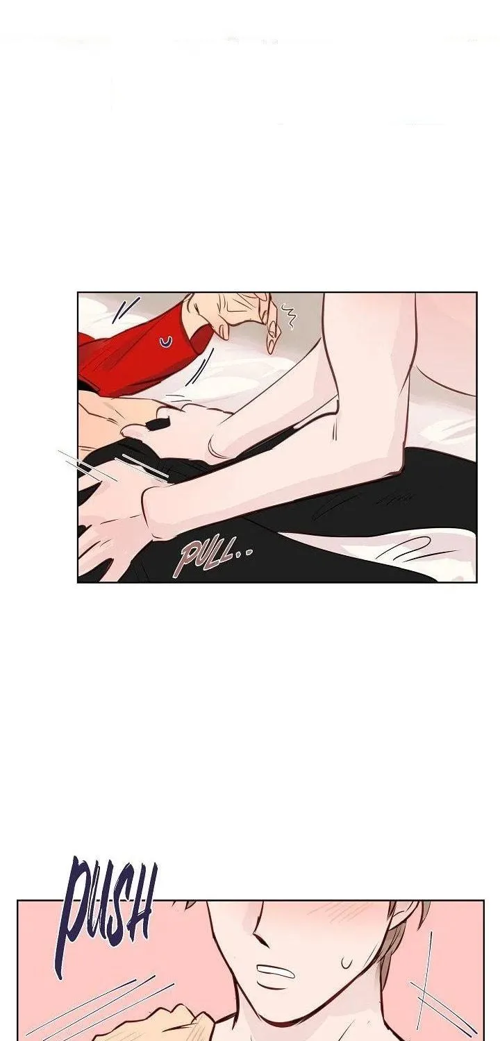 The Keystone Romantic Combination Chapter 19 page 49 - 