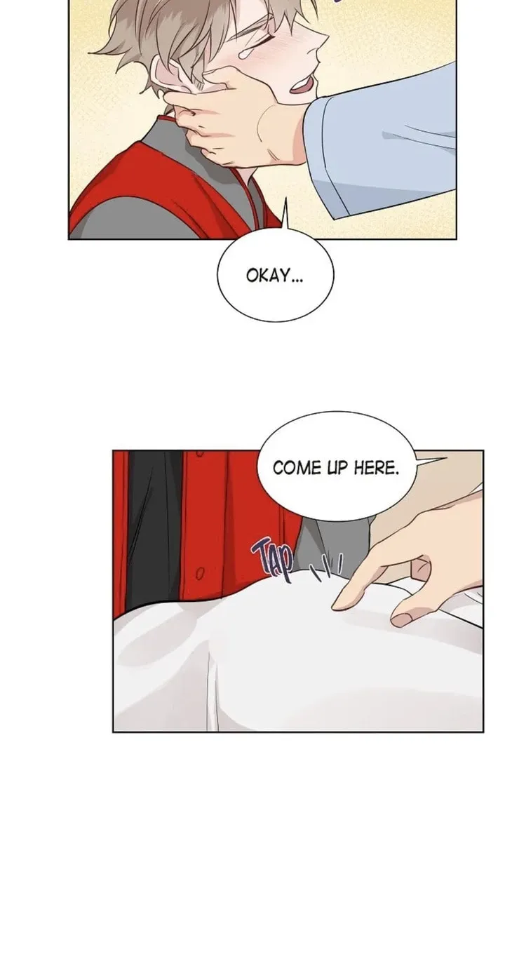 The Keystone Romantic Combination Chapter 39 page 14 - 