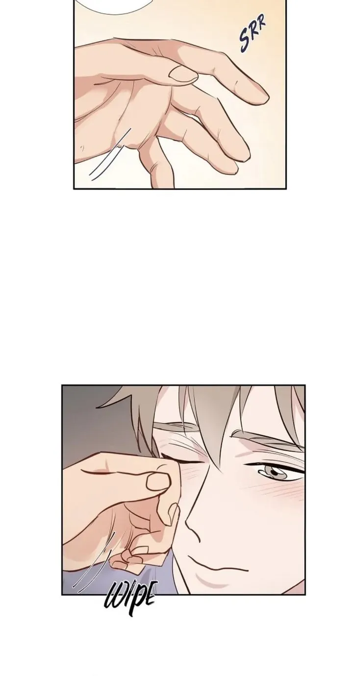 The Keystone Romantic Combination Chapter 49 page 28 - 