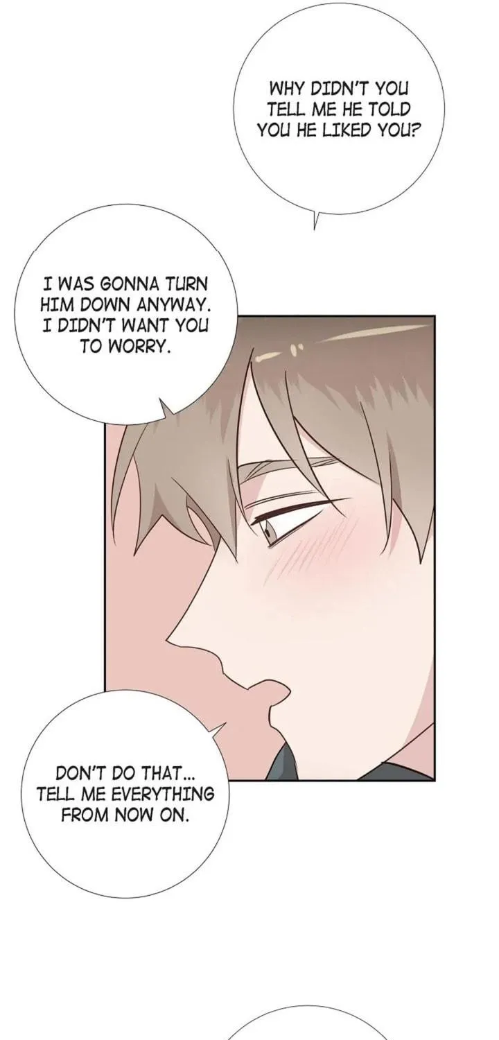 The Keystone Romantic Combination Chapter 49 page 41 - 