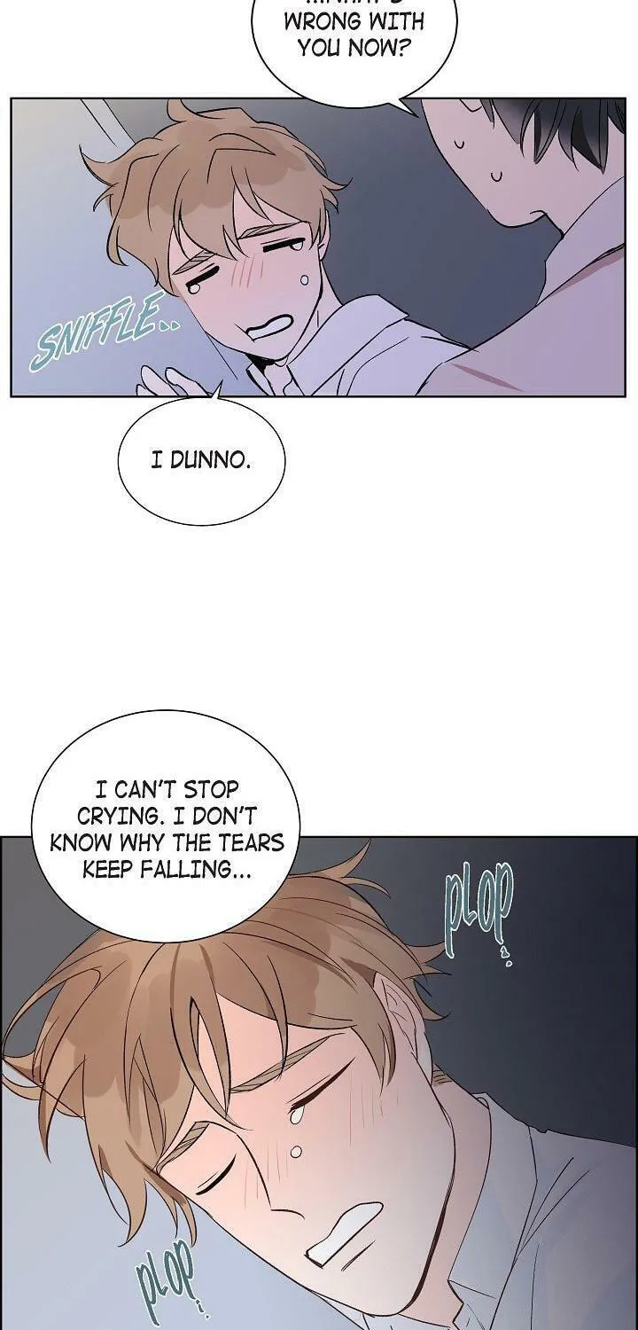The Keystone Romantic Combination Chapter 5 page 40 - 