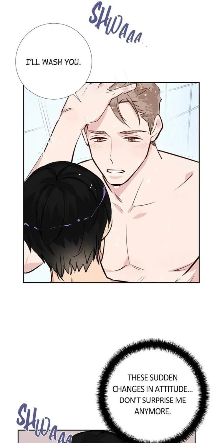 The Keystone Romantic Combination Chapter 50 page 19 - 