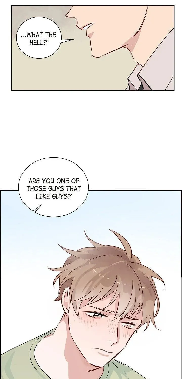 The Keystone Romantic Combination Chapter 6 page 42 - 