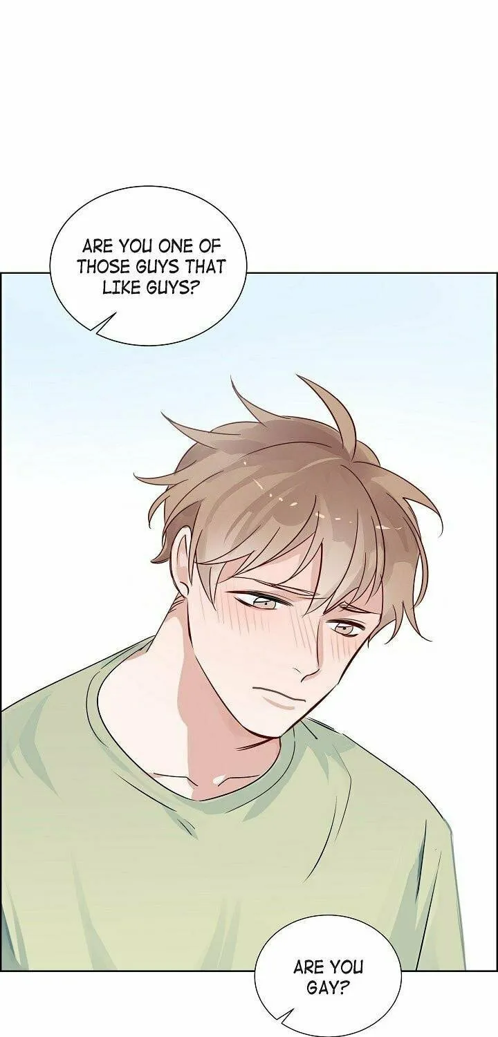 The Keystone Romantic Combination Chapter 7 page 1 - 