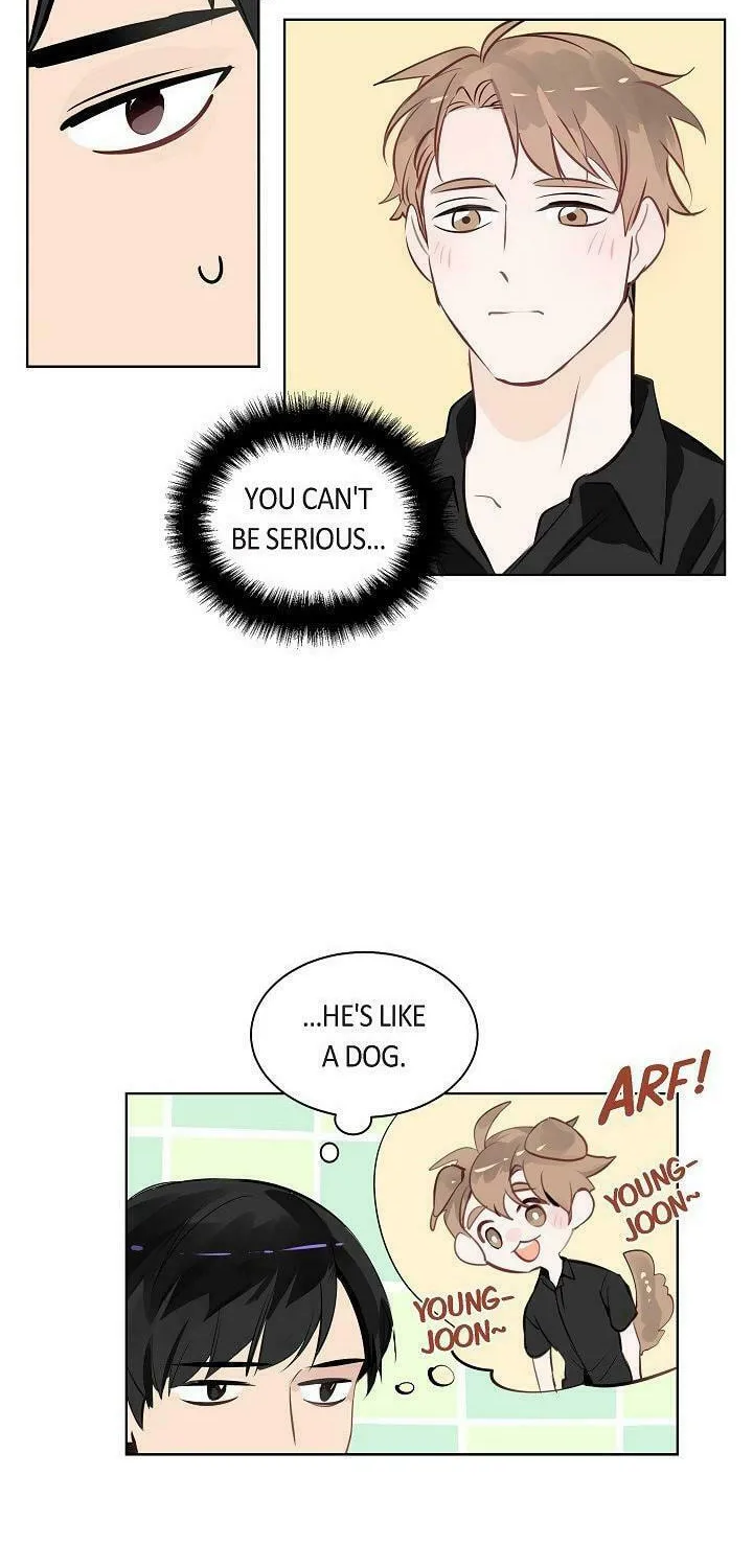 The Keystone Romantic Combination Chapter 9 page 12 - 