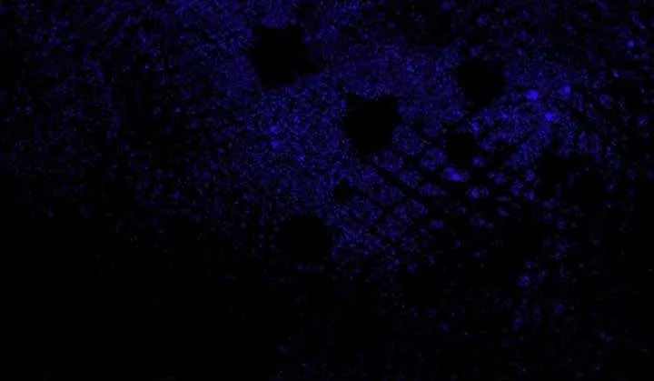 The Killer Empres Chapter 1 page 77 - 
